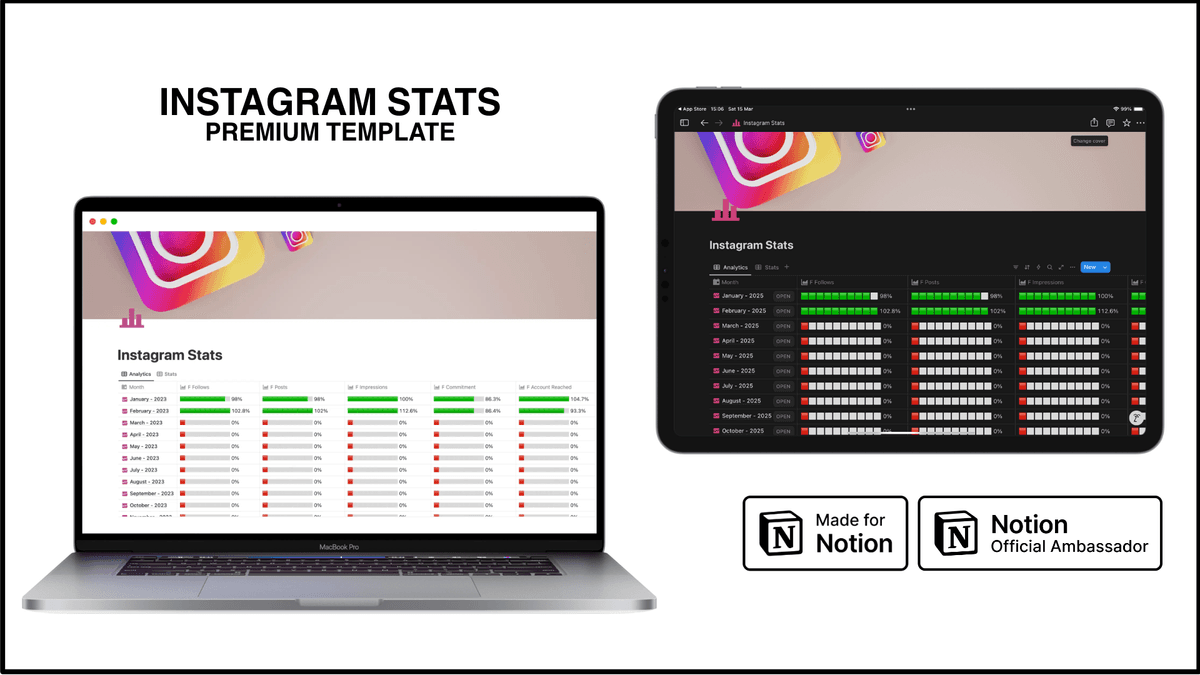 Notion Template - Instagram Stats