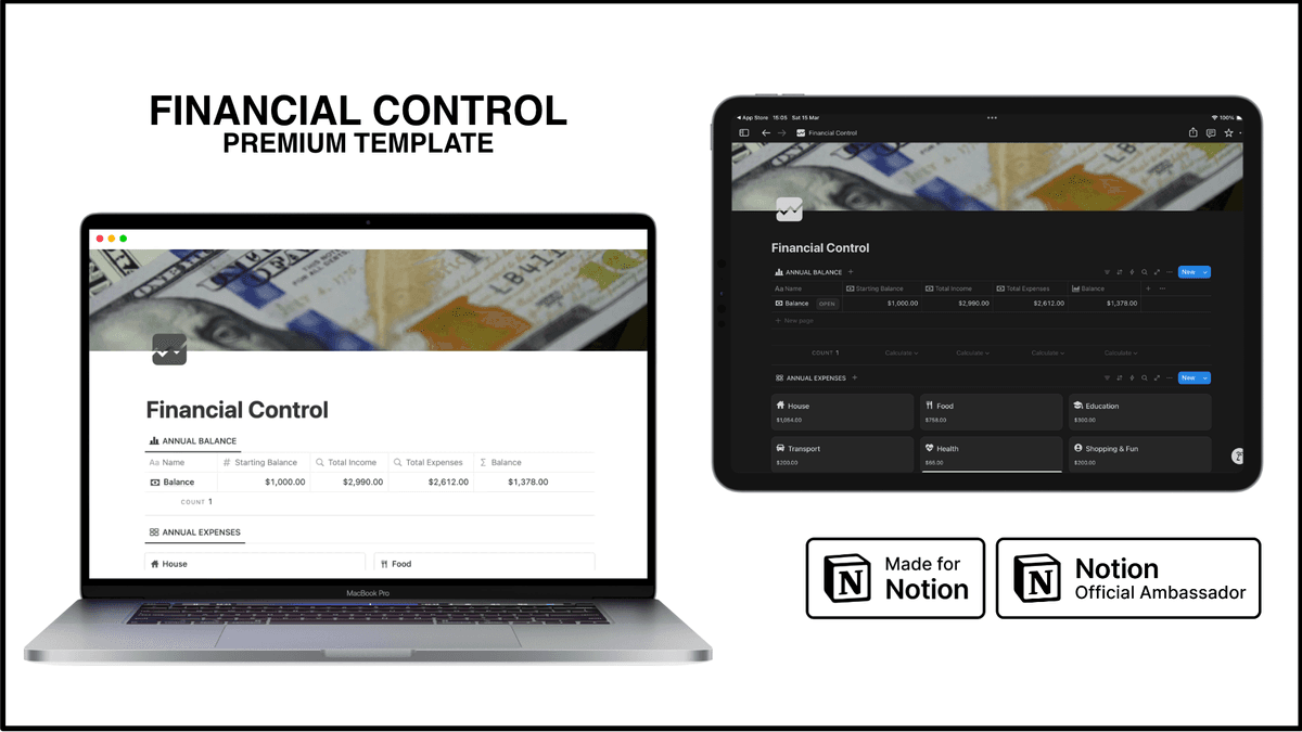 Notion Template - Financial Control