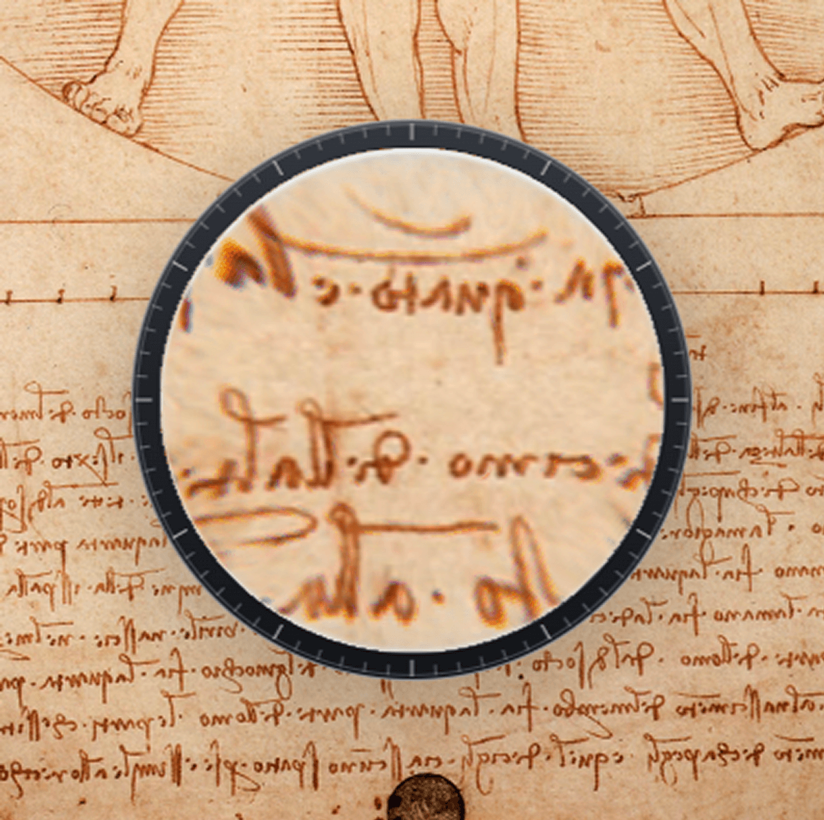 Magnifier lens cursor