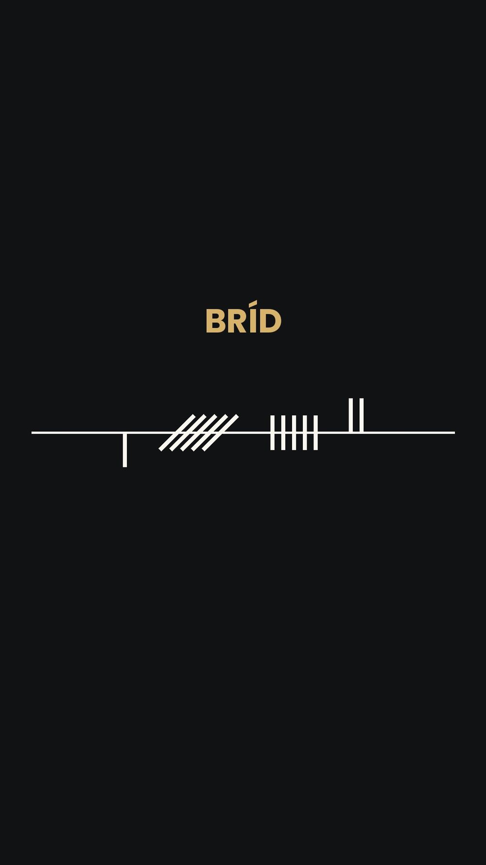 Your Name in Ogham