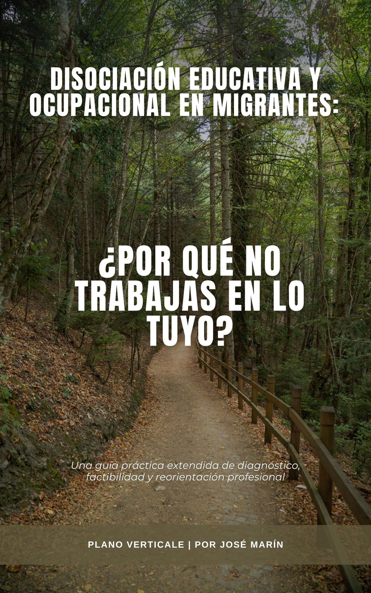 Disociación educativa y ocupacional en migrantes: ¿Por qué no trabajas en lo tuyo? (Una guía práctica extendida de diagnóstico, factibilidad y reorientación profesional)