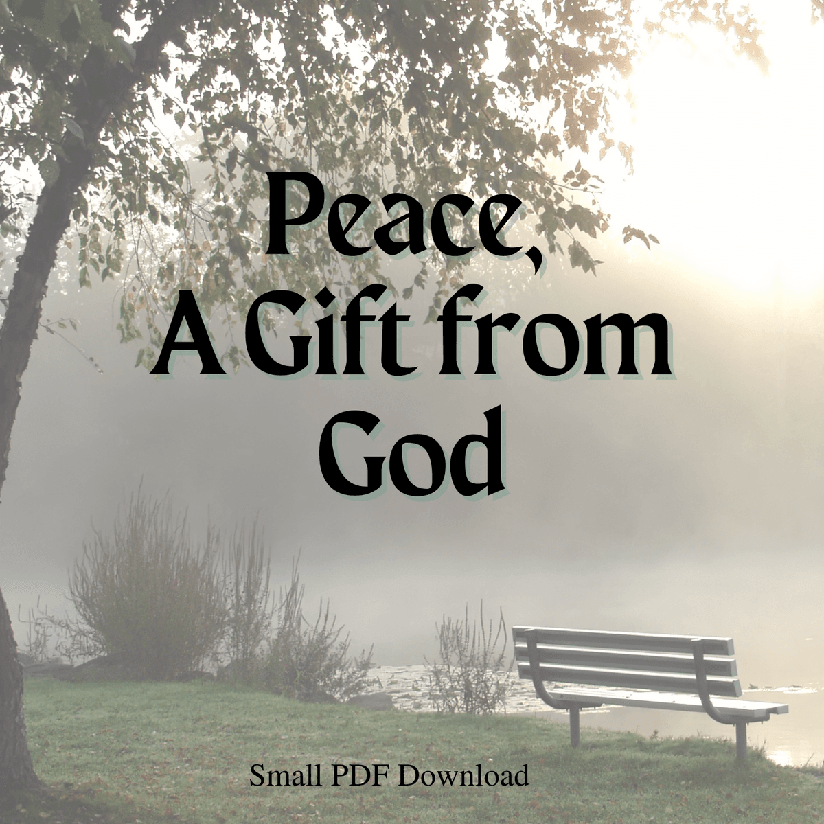 Peace A Gift