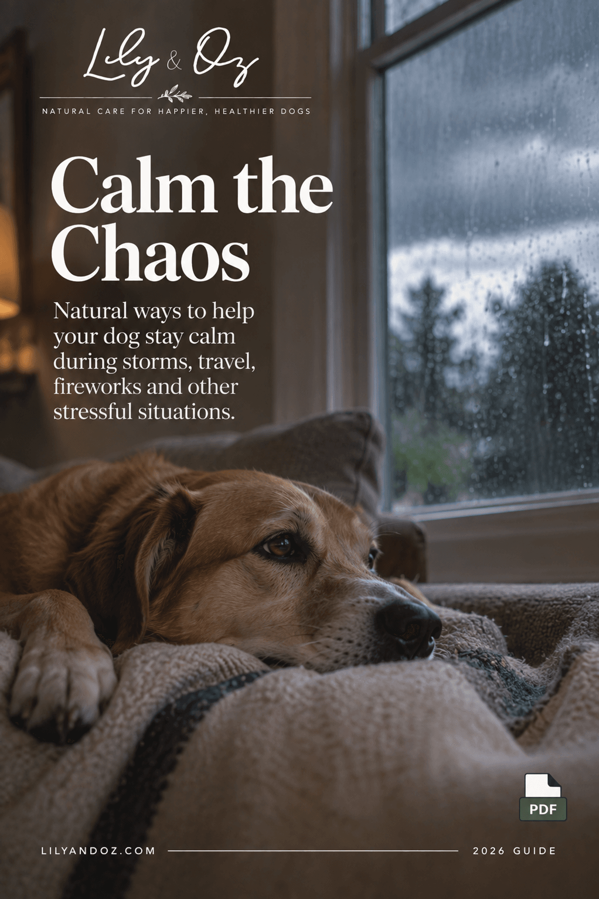 CALM THE CHAOS