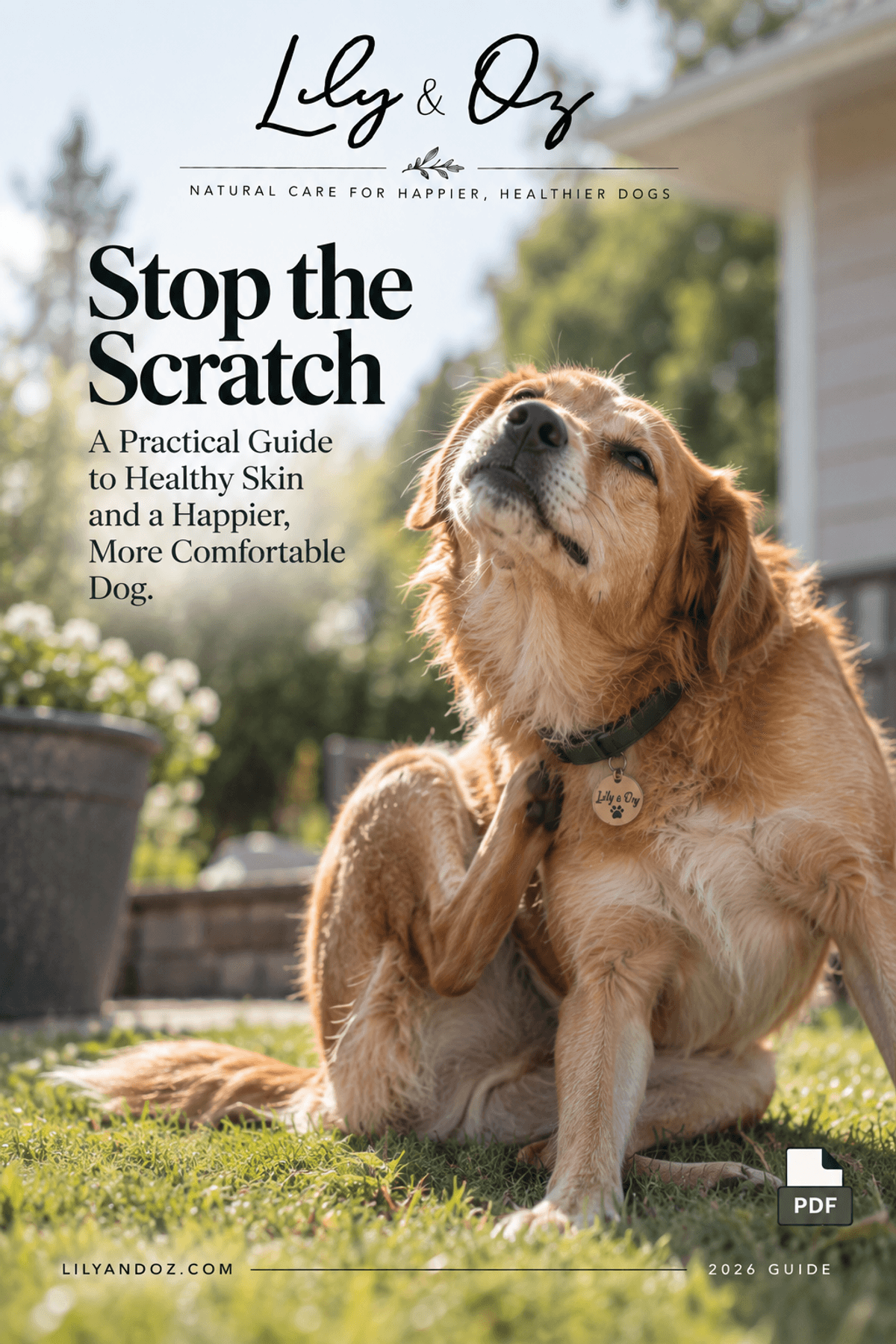 STOP THE SCRATCH