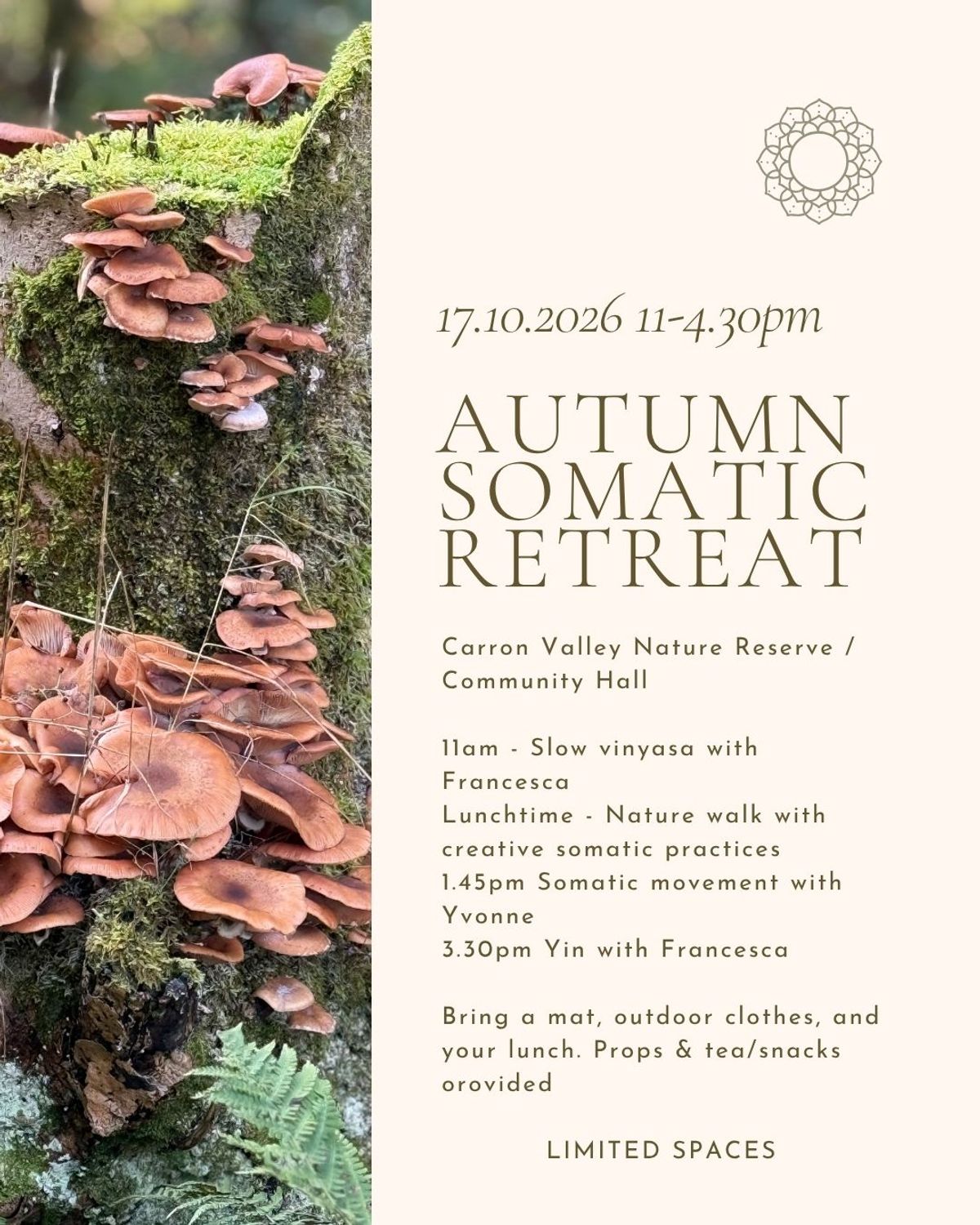 Autumn Somatic Yoga Retreat 2026