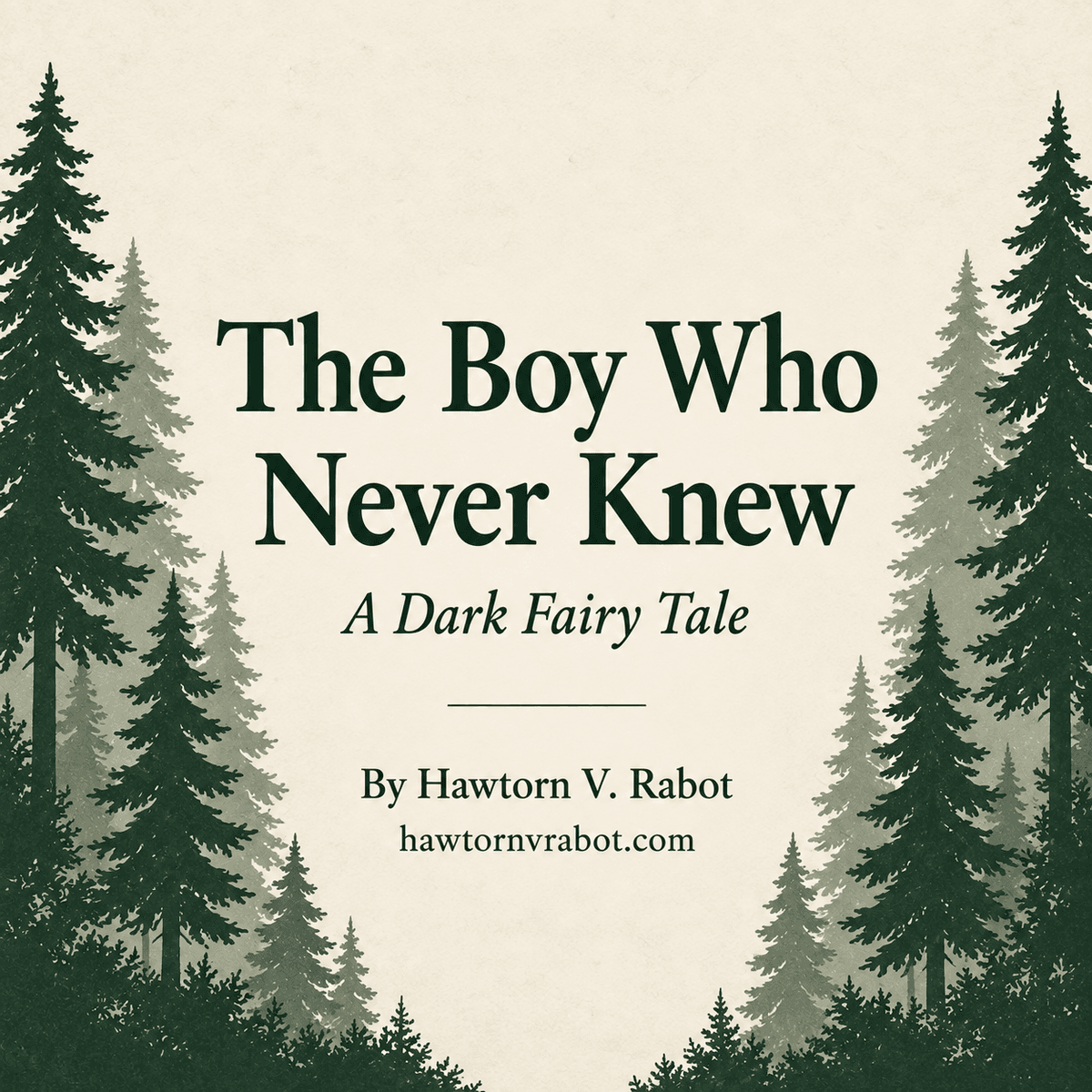 The Boy Who Never Knew Poem