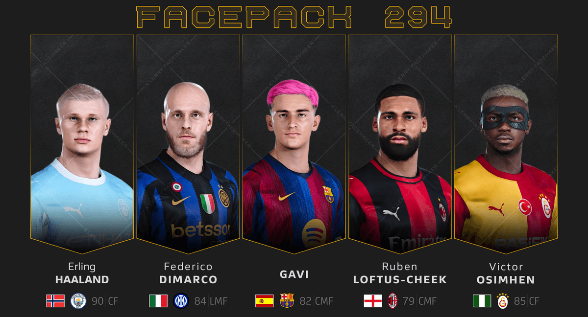 FACE PACK 294