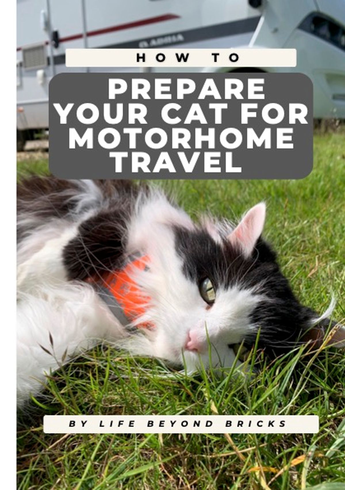 How To Prepare Your Cat For Motorhome Travel (E-guide)