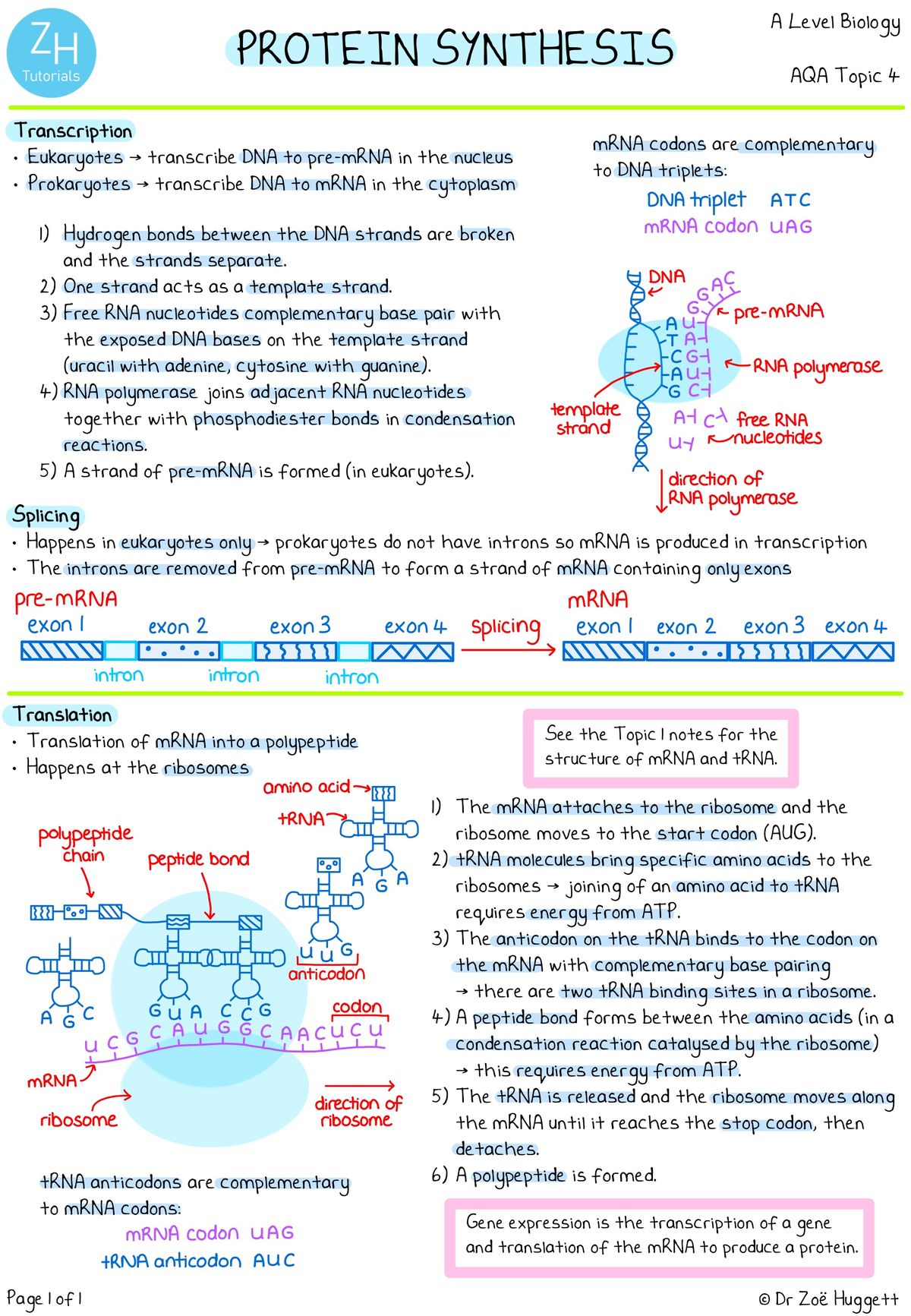 AQA A-Level Biology Complete Notes