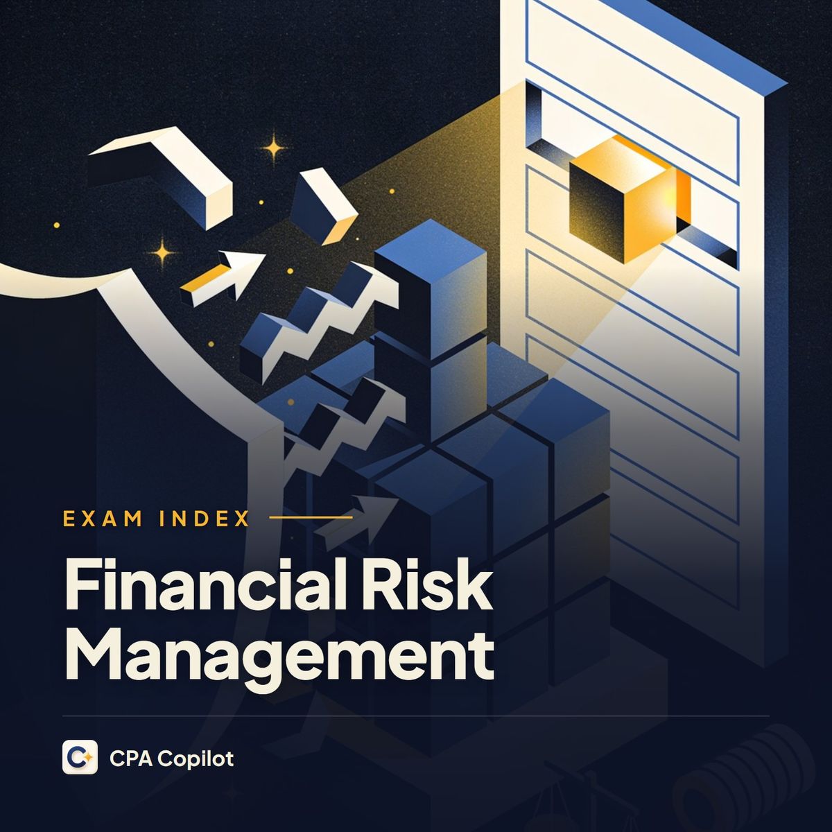 Financial Risk Management Index — 535 Key Terms