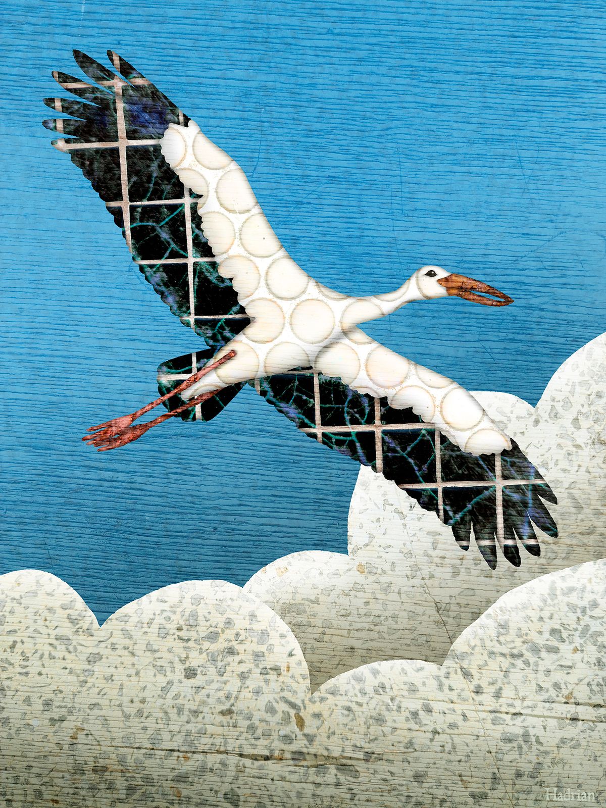 "Asian Openbill Stork" digital download