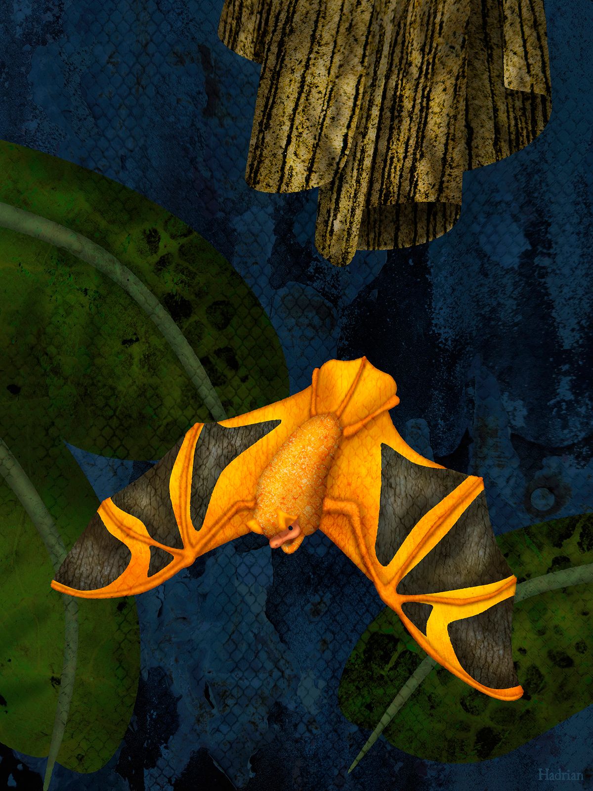 "Painted Bat" digital download