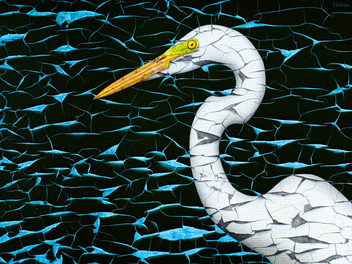 "Great Egret" digital download