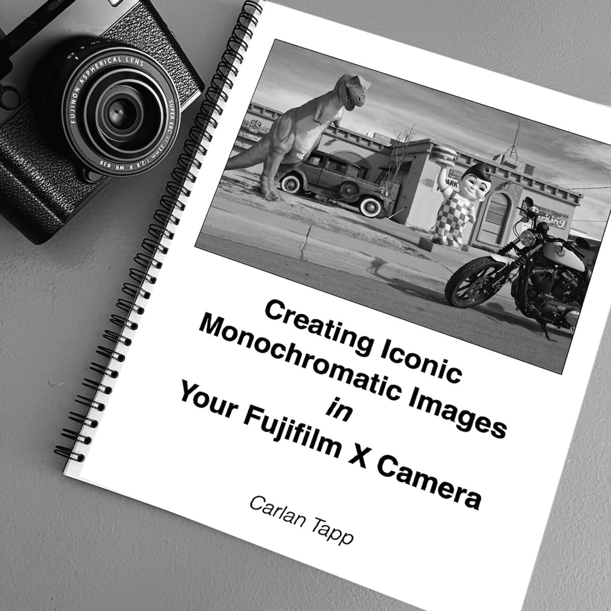 Creating Iconic Monochromatic Images In Your Fujifilm X Camera WorkBook