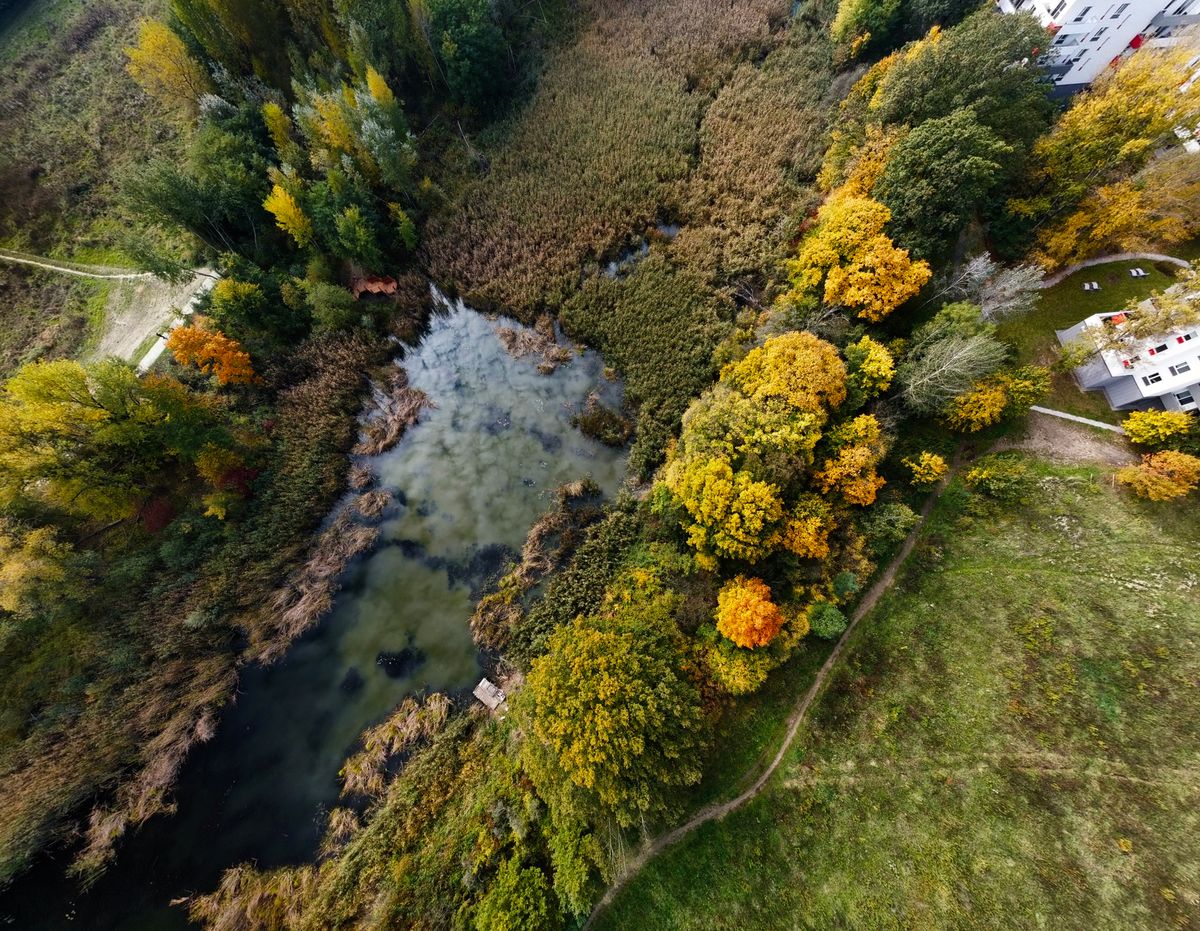 Autumn photos