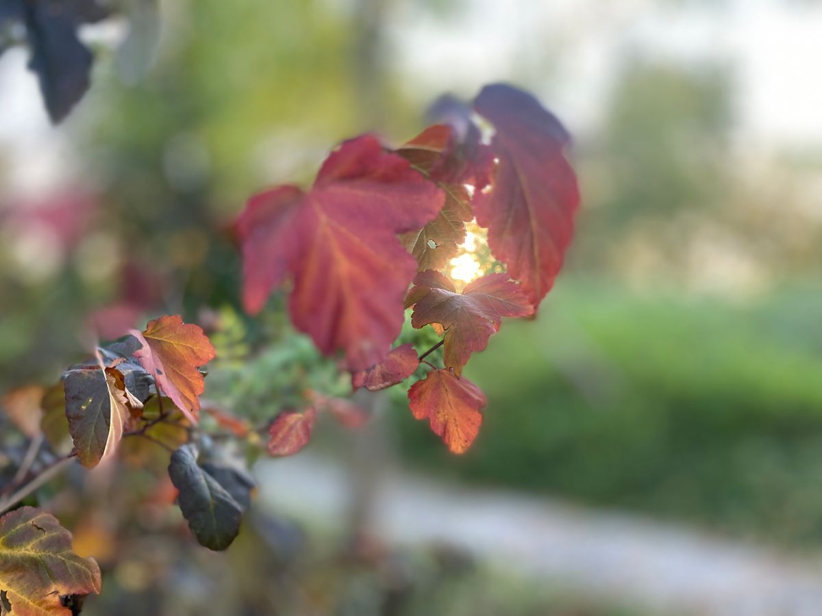 Autumn photos