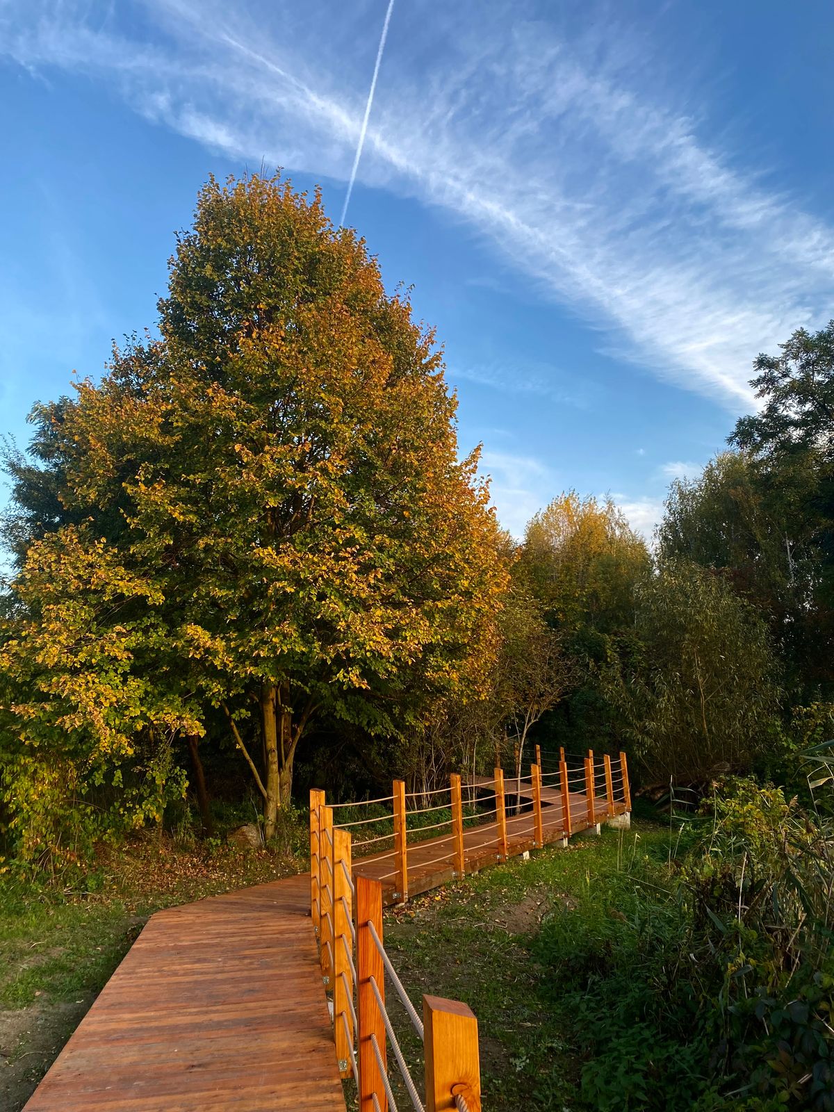 Autumn photos