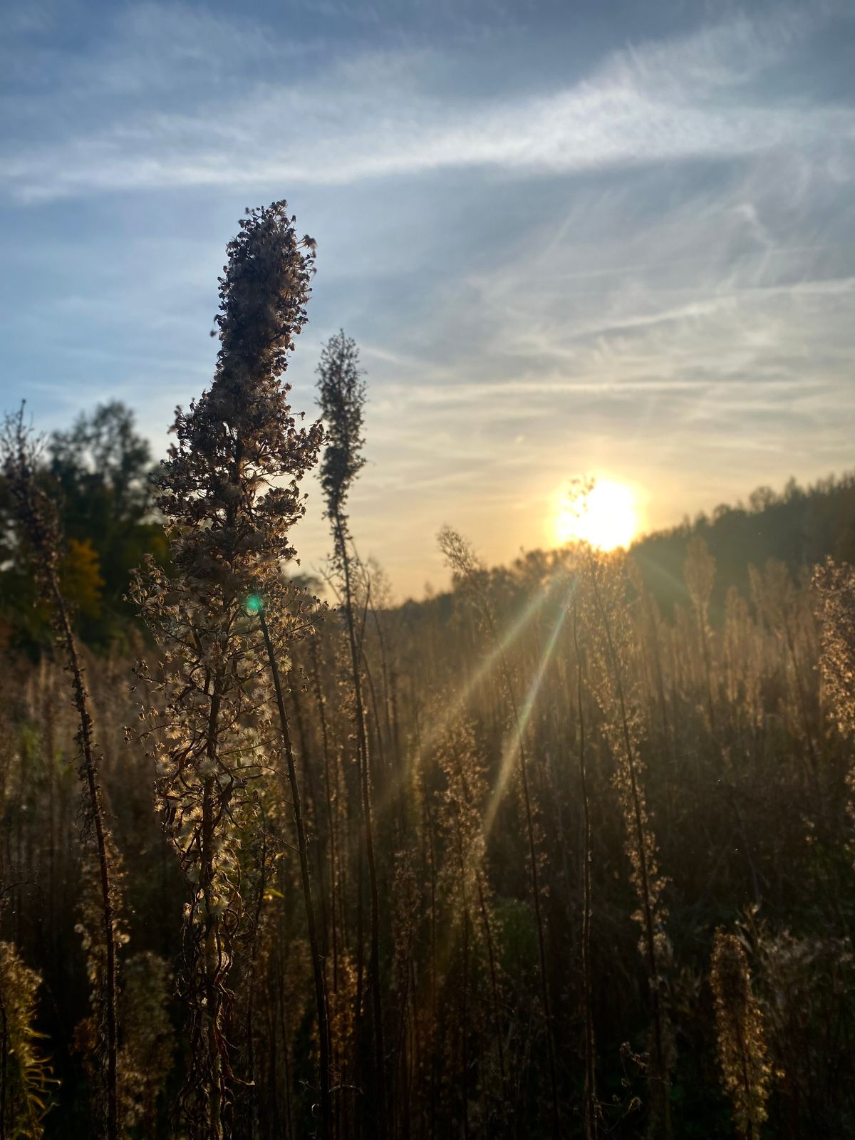 Autumn photos