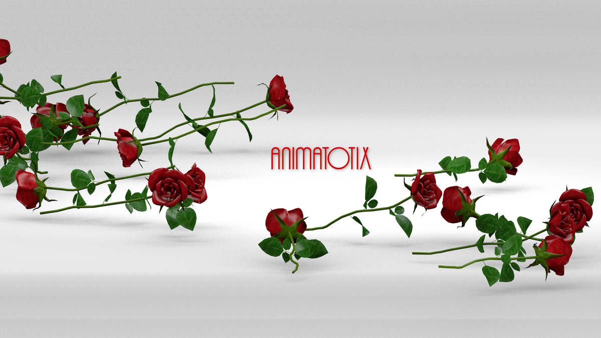 ANIMATOTIX