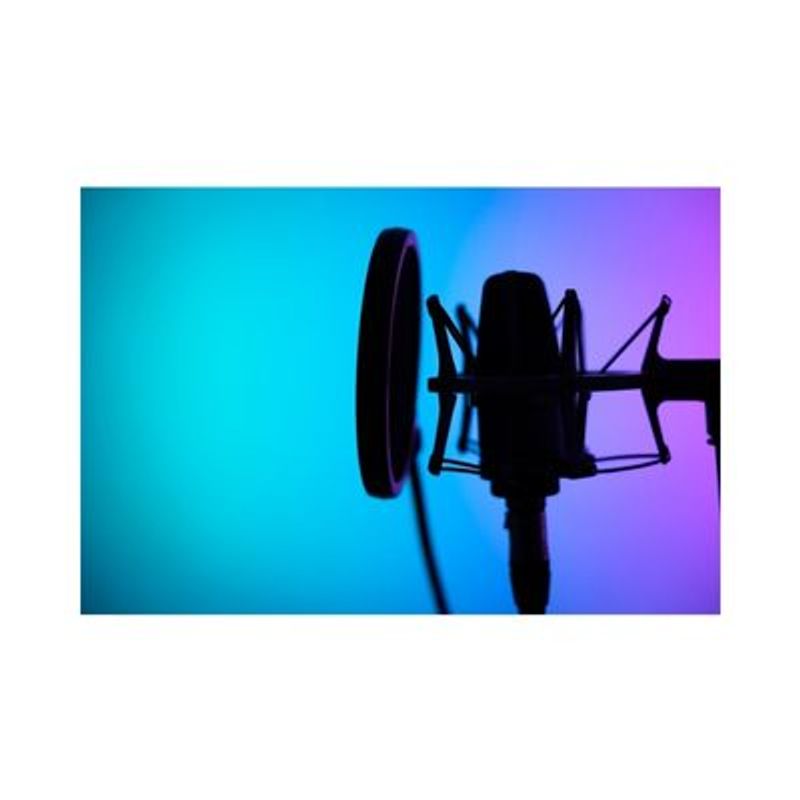 Wireless External Microphone