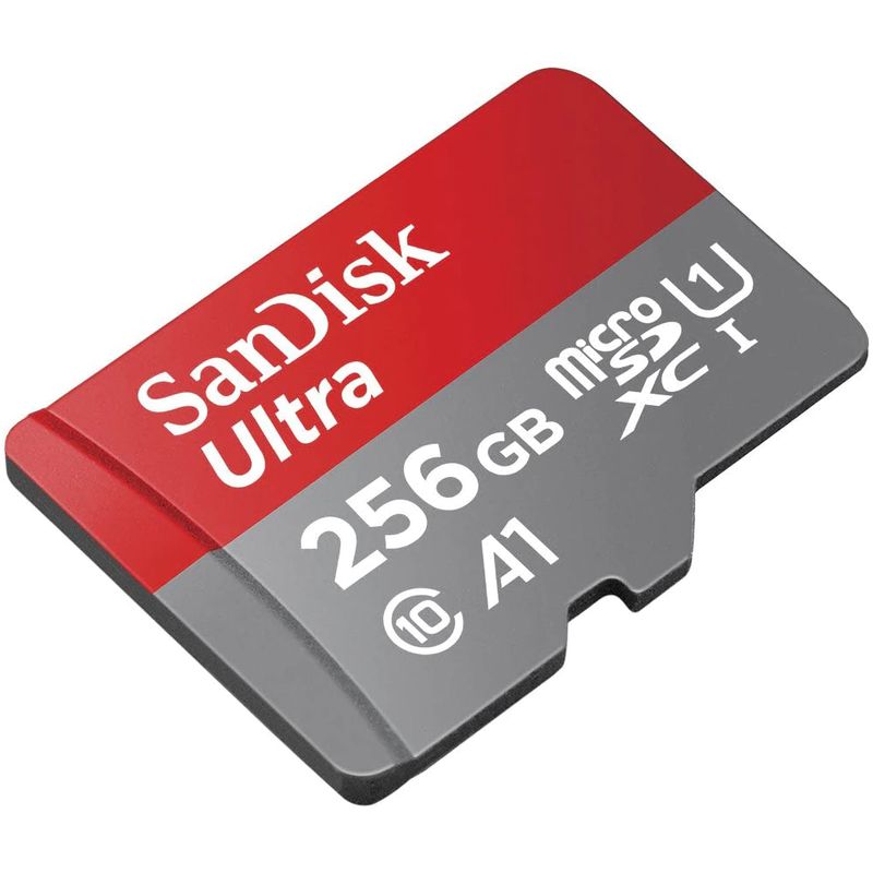256 GB Micro SD card